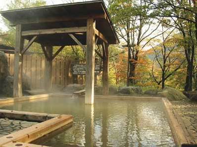 Hotel Tsunogami Niigata Eksteriør bilde